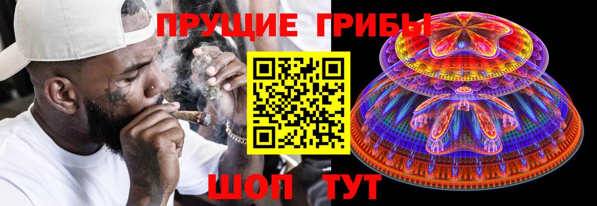 купить закладку  Вход с VPN  Скопин  Псилоцибиновые грибы Cubensis 
