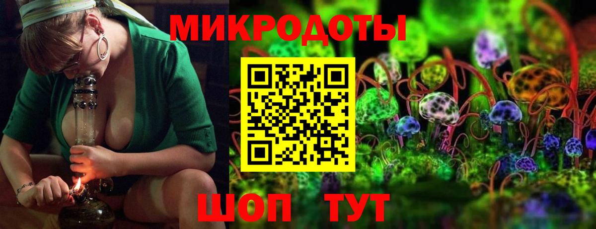 Псилоцибиновые грибы Psilocybine cubensis Скопин